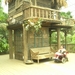BILD2504