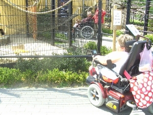 BILD2518