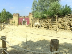 BILD2520