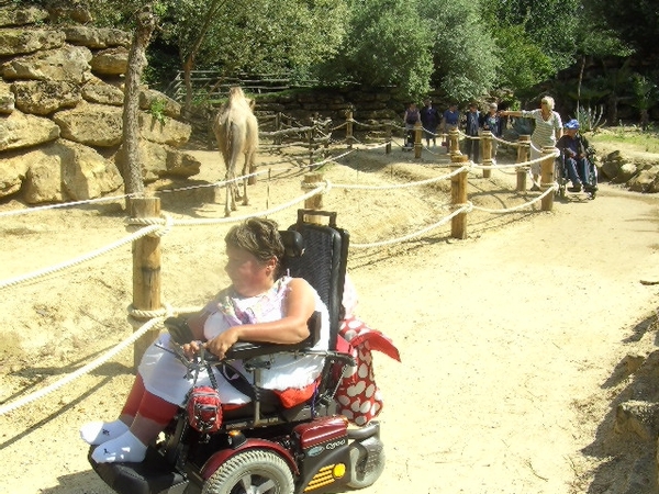 BILD2523