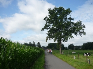 110717.BASSEVELDE.LANGS OUDE TRAMLIJN