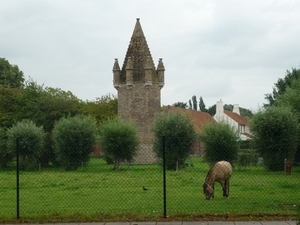 110731.ASSEBROEK.7TORREKES