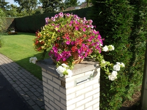 110807.VINDERHOUTE 001