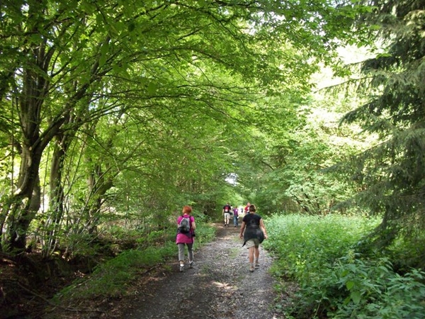 04-Bosrijke omgeving in de Viroinval