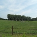 2011-07-05 JanMed Tessenderlo (119)