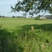 2011-07-05 JanMed Tessenderlo (142)