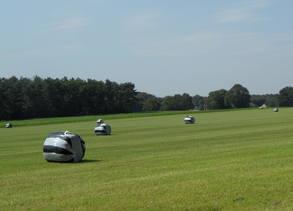 2011-07-05 JanMed Tessenderlo (147)