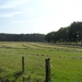 2011-07-05 JanMed Tessenderlo (157)