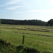 2011-07-05 JanMed Tessenderlo (158)
