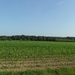 2011-07-05 JanMed Tessenderlo (224)