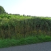 2011-07-05 JanMed Tessenderlo (232)