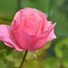 050