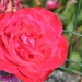 051