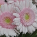 056