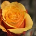 061