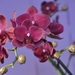 064