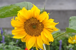 018