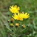 046
