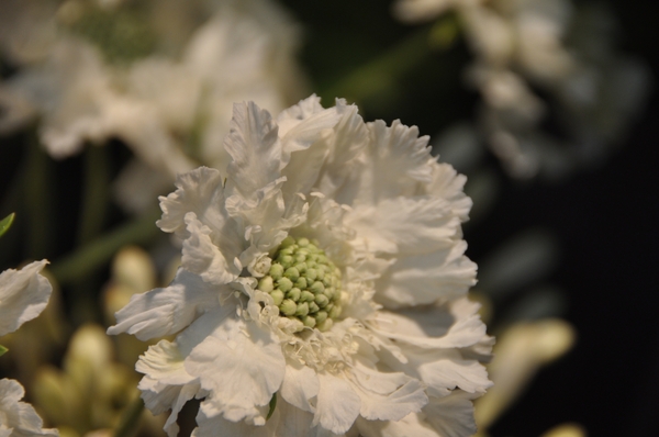033