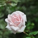 028