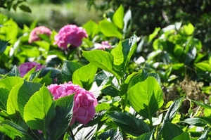 064