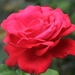 035