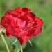 057