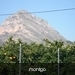 de montgo