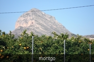 de montgo