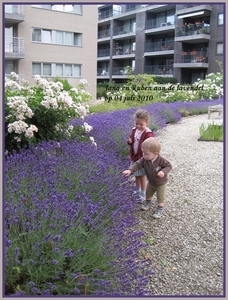 07) Kindjes bij de lavendel op 04 juli - bewerkt