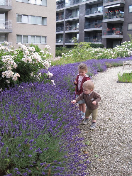 07) Kindjes bij de lavendel op 04 juli