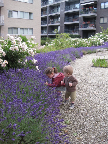 08) Kindjes bij de lavendel op 04 juli
