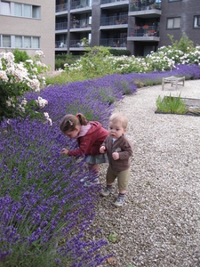 09) Kindjes bij de lavendel op 04 juli