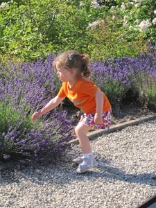 59) Jana plukt lavendel in de Tuin