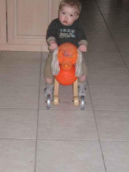 08) Ruben op de hond op 08 april