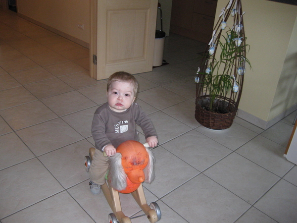 13) Ruben op de hond op 09 april