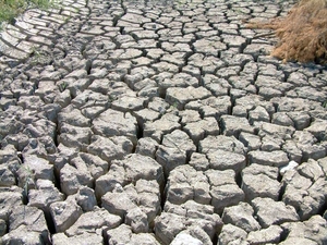 Droogte in de Camargue