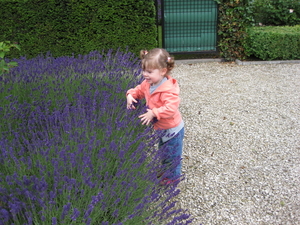 24) Jana met de handjes in de lavendel - 15.06