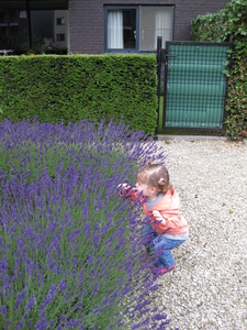 25) Jana ruikend aan de lavendel - 15.06