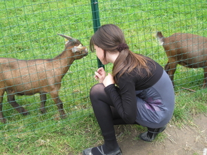 08) Sarah bij de geitjes