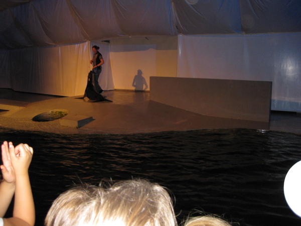 20) Zeehondenshow (6)