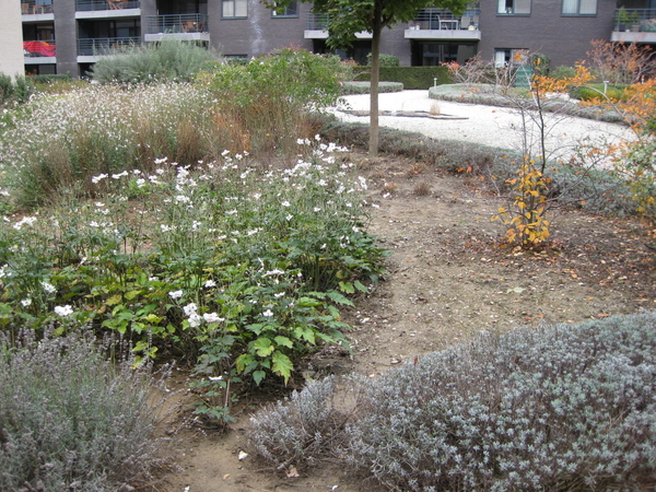 2) Sennehoftuin met het ene fonteintje