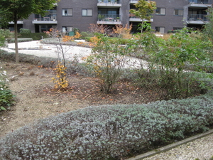 4) Sennehoftuin