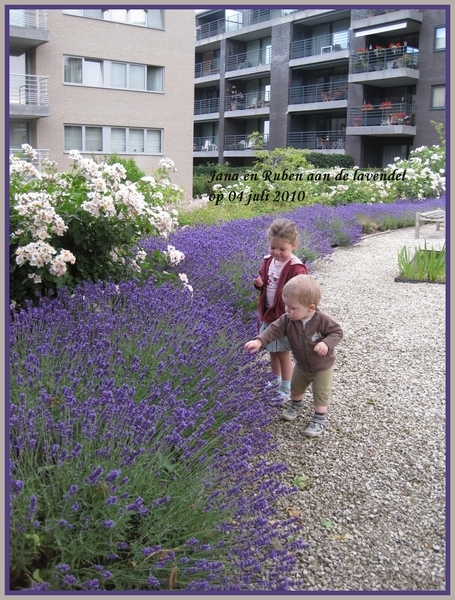 Kindjes+bij+de+lavendel+op+04+juli+-+bewerkt