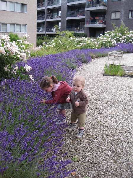 Kindjes+bij+de+lavendel+op+04+juli