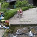 Kindjes+op+het+tuinbankje+op+04+juli+-+collage