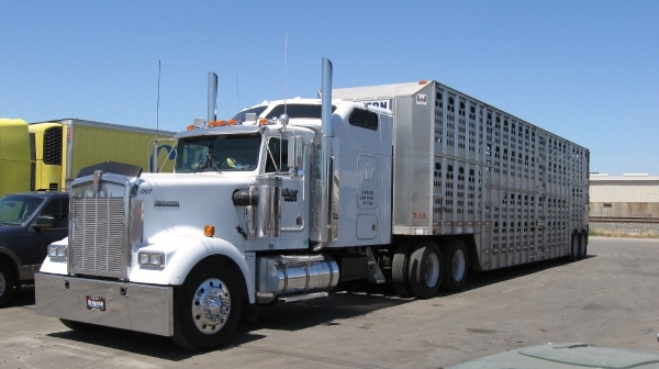 W-A. 2011 (240)