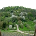 DSCN3078