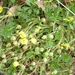 DSCN3116