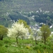 DSCN3118